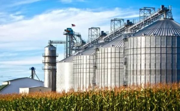 Biocombustibles: ¿Cómo es el nuevo marco regulatorio que impulsa la Bolsa de Cereales?