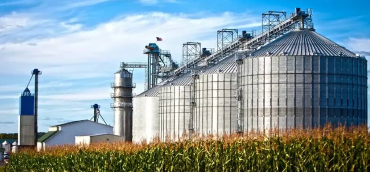 Biocombustibles: ¿Cómo es el nuevo marco regulatorio que impulsa la Bolsa de Cereales?