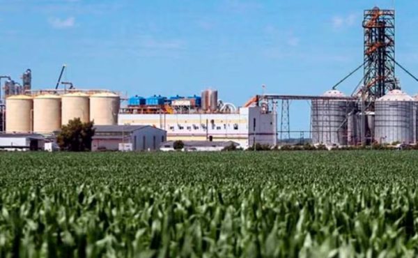 La industria de biocombustibles pide un cambio de esquema