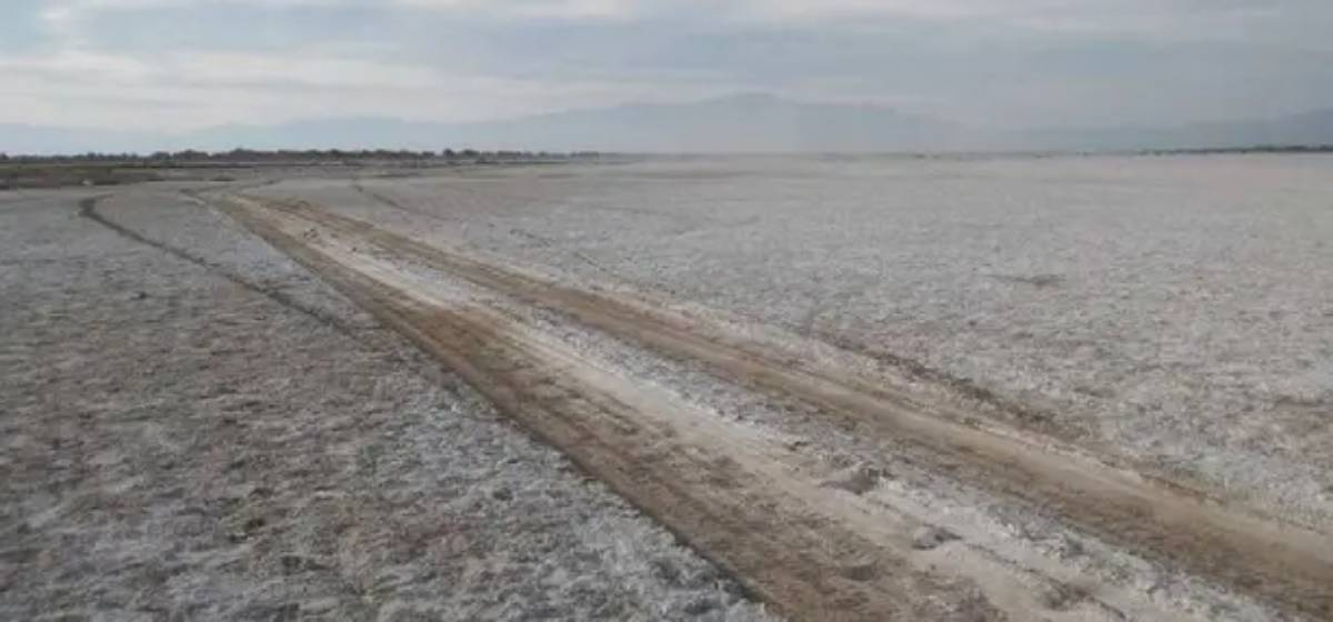 Litio en La Rioja: perforación exploratoria abre un proyecto de 20.000 hectáreas