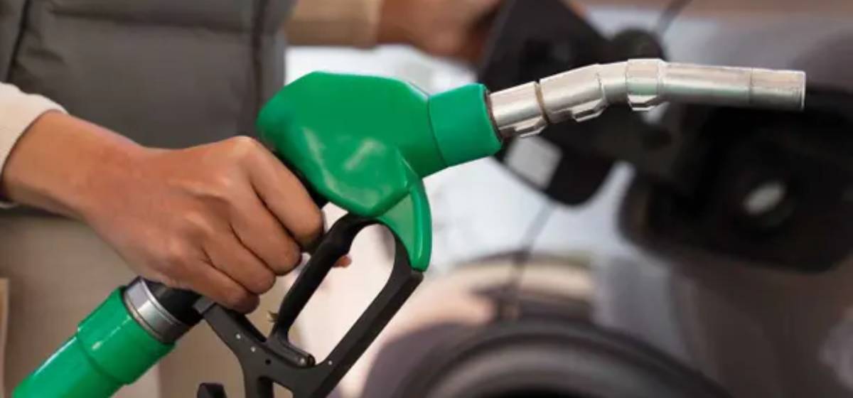 Pese a la caída del petróleo, el esquema de precios y los impuestos impiden la baja en los combustibles