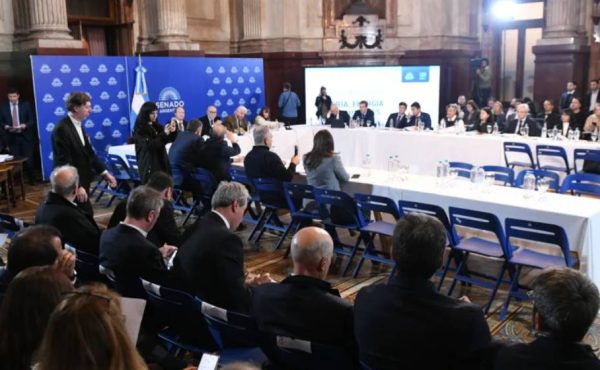 Avanza en el Senado una nueva ley de biocombustibles