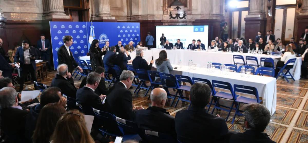 Avanza en el Senado una nueva ley de biocombustibles