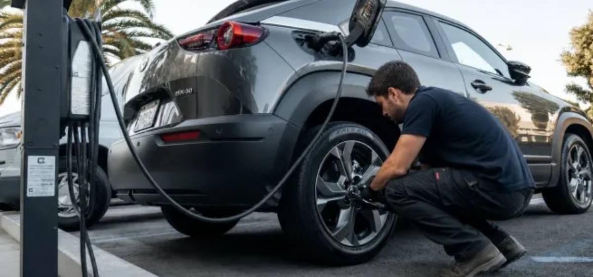 Boom de eléctricos e híbridos: los patentamientos se cuadruplican