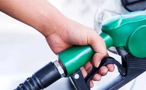 Cepreb rechaza el nuevo proyecto de biocombustibles