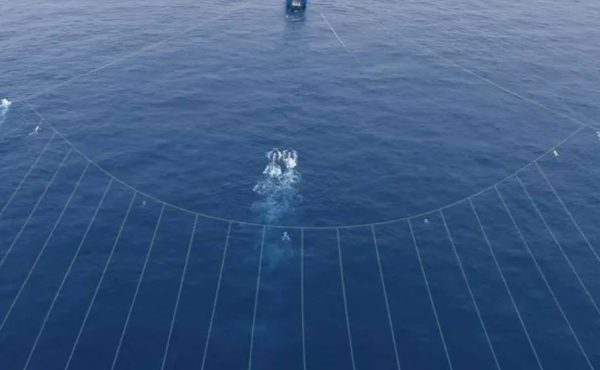 Exploración offshore en Malvinas reabre el debate en Mar del Plata