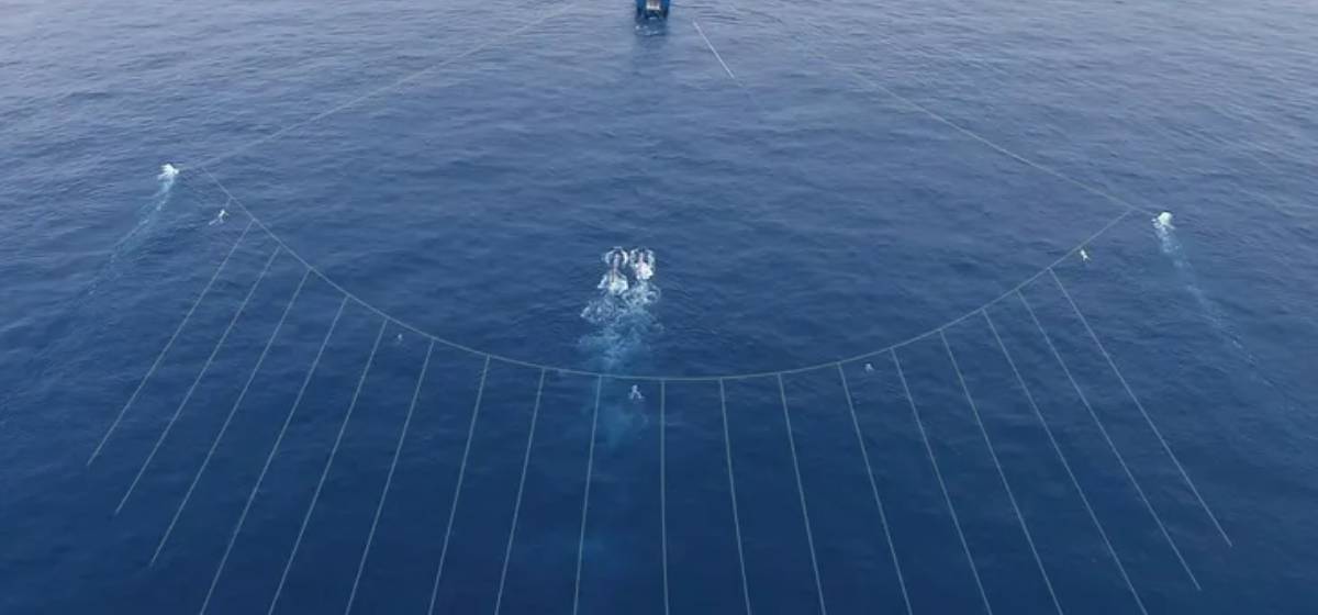 Exploración offshore en Malvinas reabre el debate en Mar del Plata