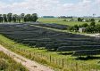 Presentaron proyecto para crear parques solares en Buenos Aires y terminar con cortes de luz