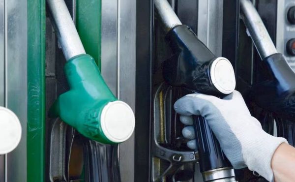 Senado tratará nueva ley de biocombustibles con cambios incorporados para el biodiésel y mayor consenso político
